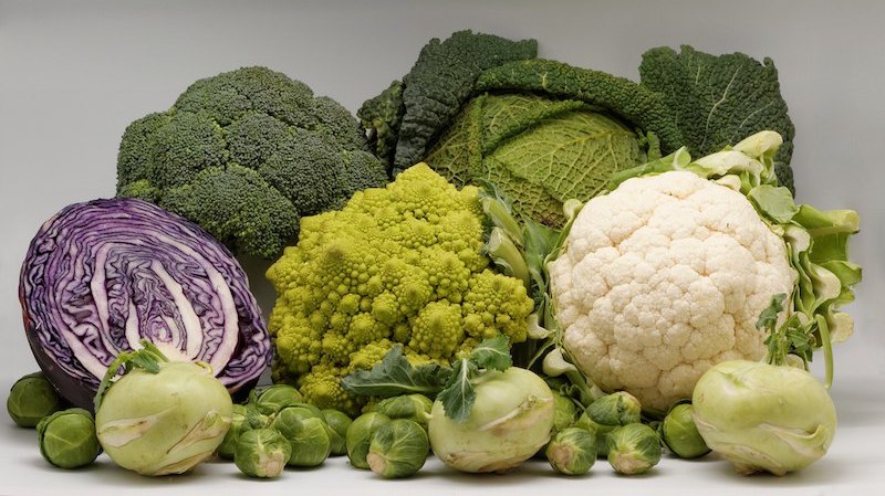 photo représentant différents légumes de la famille des Brassicacées : chou-fleur, chou rouge, broccoli, chou romanesco, chou de bruxelles 