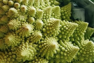 chou romanesco, cet aliment est il faible en FODMAP pour régime pauvre en fodmaps