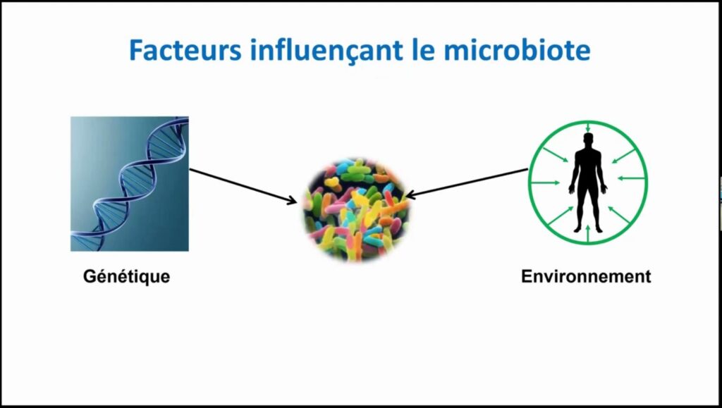 Facteurs influençant le microbiote