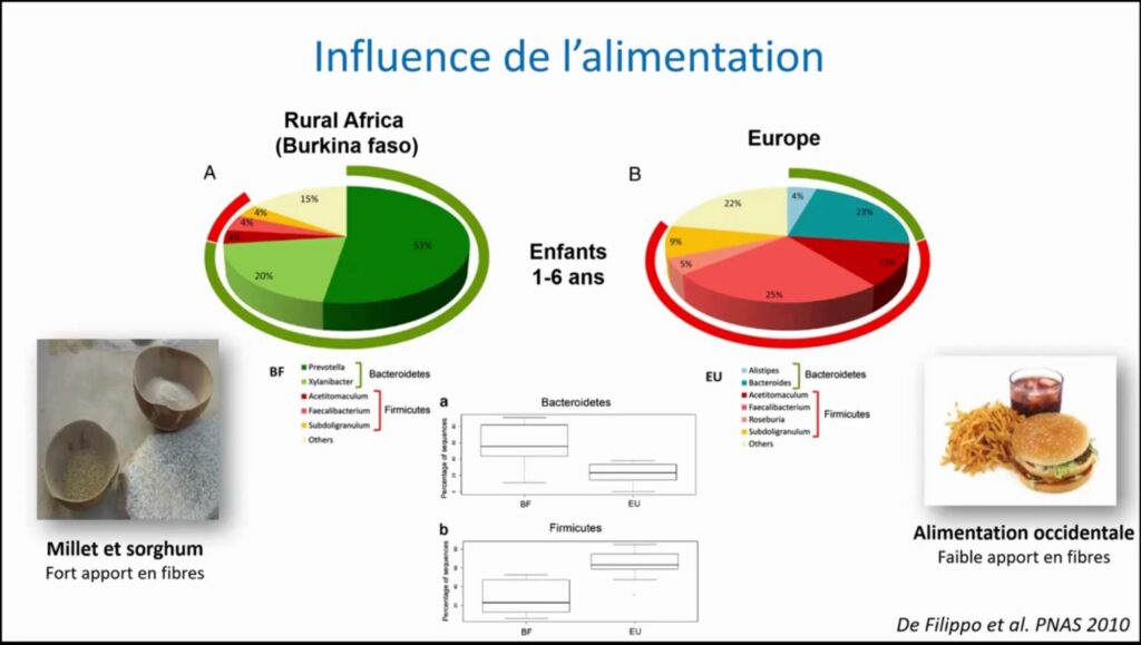 Influence de l'alimentation rurale africaine et occidentale