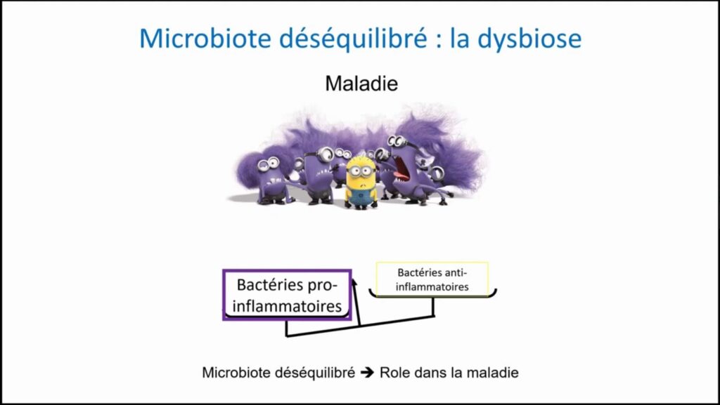 Microbiote déséquilibré la dysbiose