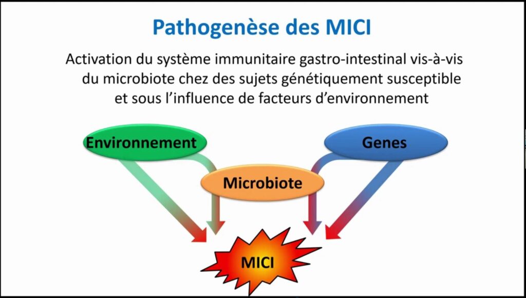 Pathogenèse des MICI