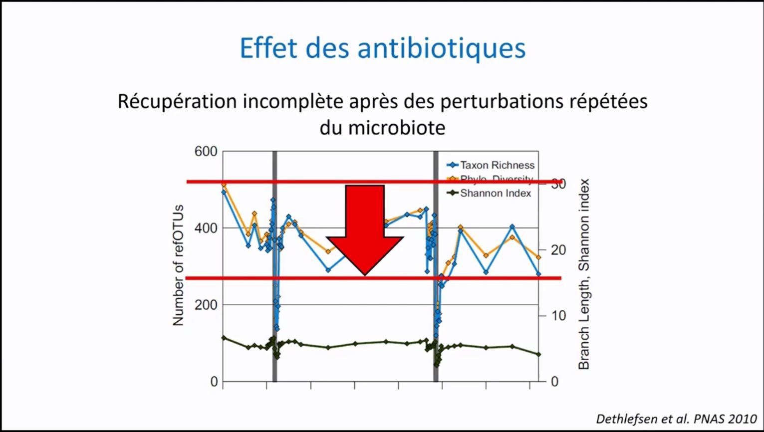 Impact Des Antibiotiques Sur Le Microbiote – GMHZB